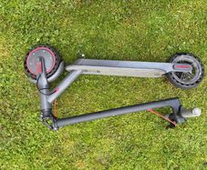 Shed cleaning- all should go together tomorrow morning by 11am