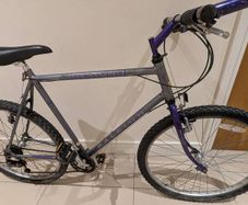 Raleigh bike