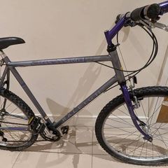 Raleigh bike