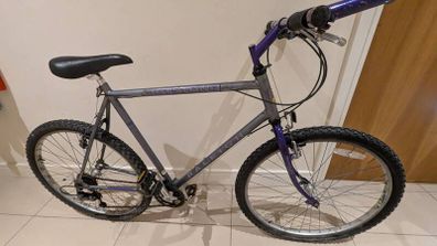 Raleigh bike