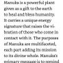 Manuka Essential Oil - Limited Edition Image 2