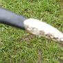 Vintage Ornate Dagger Letter Opener Image 6