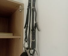 Cob Snaffle Bridle