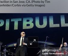 2 pitbull standing tickets