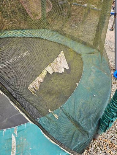 free Trampoline