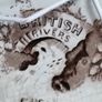 Victorian Pottery Meat Platter Image 2