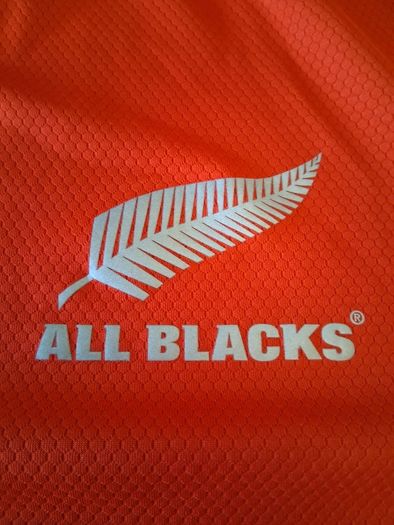 All Blacks Jersey.  Official Adidas All Blacks Pre Match Warm Up Jersey. Collect In Dublin Or Receive Via Post.