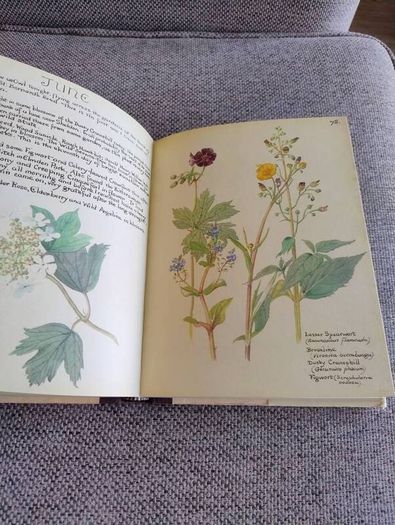 The Country Diary of an Edwardian Lady 1979 by Edith Holden in very good condition with some wear to the dustcover see photos FREE STANDARD POSTAGE INCLUDED