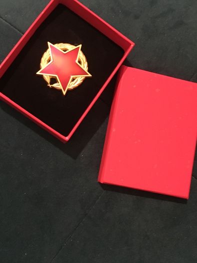Pin