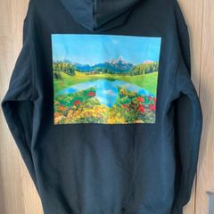 adidas hoodie