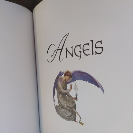 Angels /Artists & Inspirations / Iain Zaczek