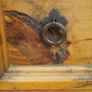 Mexican Pine Chest of Drawers Image 3