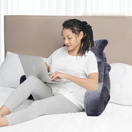 Pillow with Arm Support