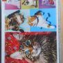 Massive collection of jigsaw puzzles Image 2