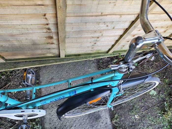 Italian bike lady's