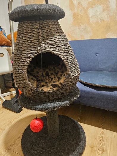 Cat tower/bed
