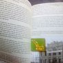 90th Anniversary Easter Rising booklet Image 3