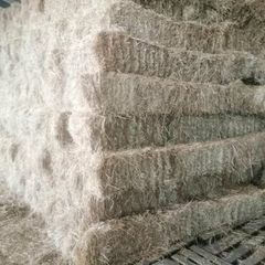 Round and square bales of hay for sale