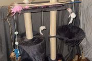 Cat tree