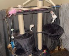 Cat tree
