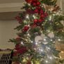 Christmas tree Image 2