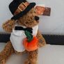 new collectable teddy with pumpkin tag attached Image 7