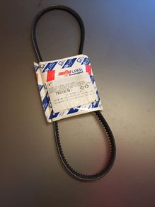 Fanbelt (Ducato Camper )