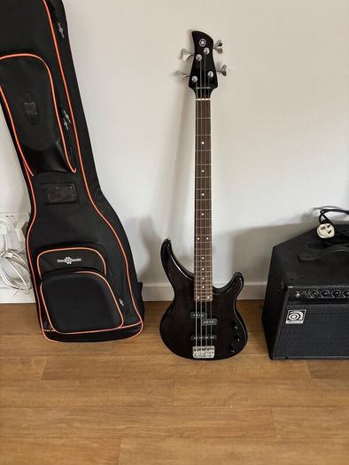 Electric bass guitar