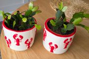 Plantspot