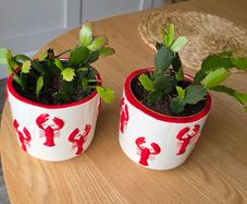 Plantspot