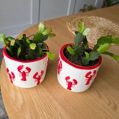 Plantspot