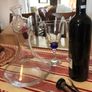 The Wine Buff Final Touch Glass 3-Phase Wine Aerator & Decanter Set - Pristine Image 5
