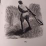 1941 IST edition, ex libris/Life on the Land, Fred Kitchen, original wood cuts Frank Ormond Image 2
