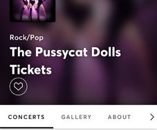 Pussycat dolls standing tickets Dublin