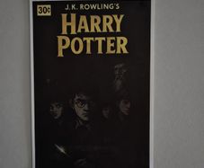 Harry Potter Canvas Poster