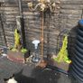 Antique or wedding  candle stands. Image 2