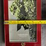 Brand New Boxed Vera Wang Wedgwood Photo Frame Image 5