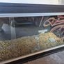 Vivarium Image 4