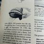 Vintage How and Why Flight Book Image 4