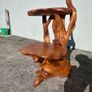 Unique Sculptural Tree Root Display Stand / Live Edge 2-Tier Table Image 6