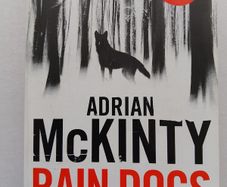 Rain Dogs