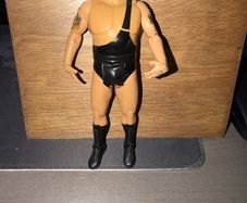 WWE Jakks Pacific The Big Show Figure