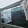 Alu-Clad Double Glazed Window/Door Set Image 3