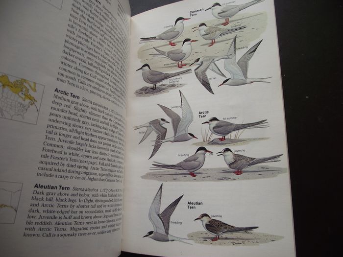 1987 "Field Guide To The Birds Of North America - National Geographic Society"