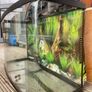 fish tank Image 3