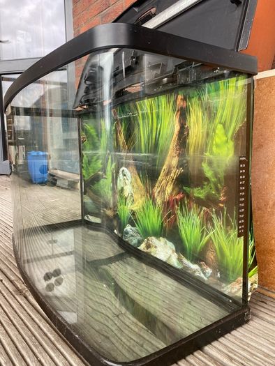 fish tank