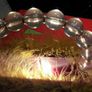 Light shaped as a Handbag Wine colour NEW Image 3