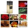 Saffron Euphoria Extrait de parfum by Welton London Image 2