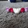 5 knobs Image 4