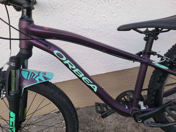 Orbea MX24 bike